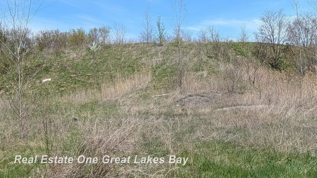 1317 S Park Avenue, Saginaw, MI 48601