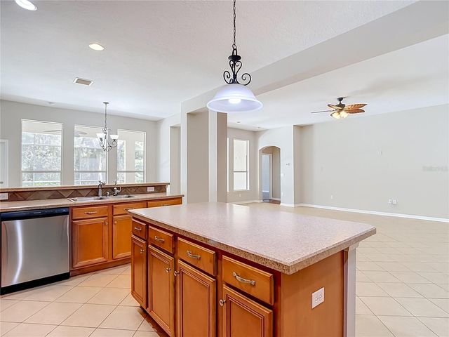 7220 NIGHT HERON DRIVE, Land O Lakes, FL 34637