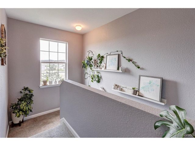 1458 Nemrick Pl, Castle Rock, CO 80109