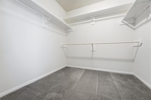 20531 Spring Bluff Lane, Spring, TX 77388