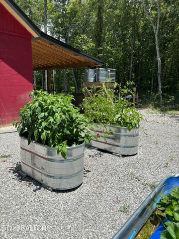 255 Crest View Drive, Sunbright, TN 37872