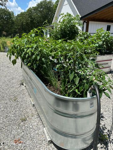 255 Crest View Drive, Sunbright, TN 37872