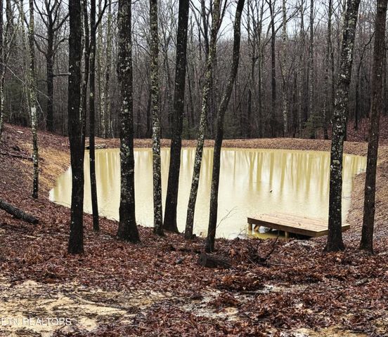 255 Crest View Drive, Sunbright, TN 37872