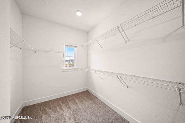 11110 DIFFUSION Court, Jacksonville, FL 32256