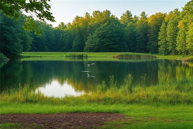 120 Dogwood Terrace, Ellijay, GA 30536