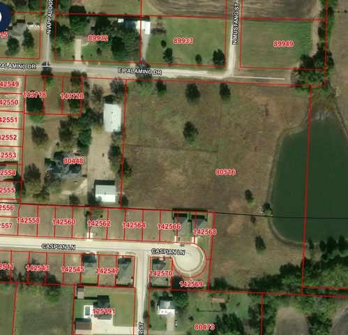 TBD Palamino Drive, Leonard, TX 75452