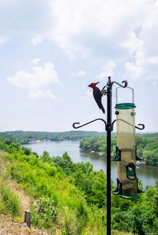 1453 Lodge Mountain Dr, Hot Springs, AR 71913