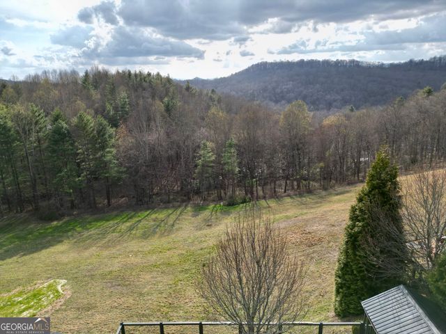 162 Dryman Ridge Road, Scaly Mountain, NC 28775