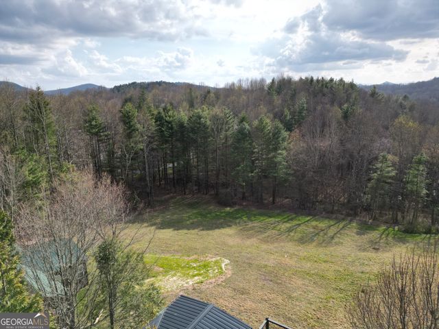 162 Dryman Ridge Road, Scaly Mountain, NC 28775