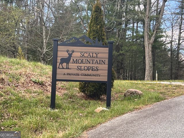 162 Dryman Ridge Road, Scaly Mountain, NC 28775