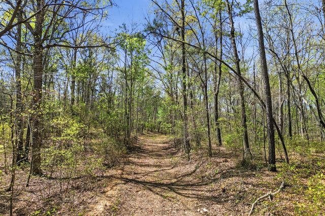 3102 Flat Bottom Road, Ball Ground, GA 30107