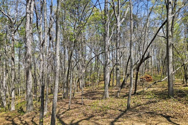 3102 Flat Bottom Road, Ball Ground, GA 30107