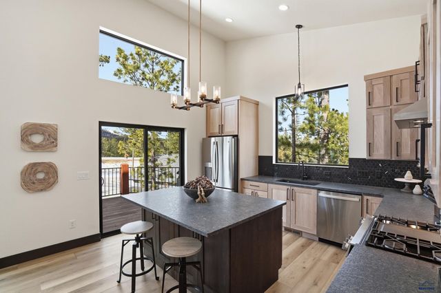 11250 OVERLOOK PASS, Lead, SD 57754