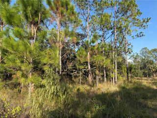 RIVER RANCH BOULEVARD, Lake Wales, FL 33898