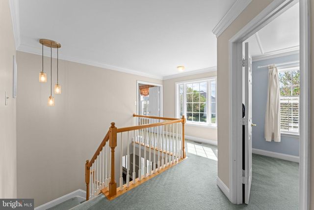 3035 WILDFLOWER DR, La Plata, MD 20646