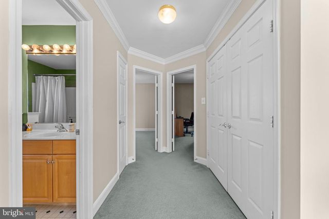 3035 WILDFLOWER DR, La Plata, MD 20646