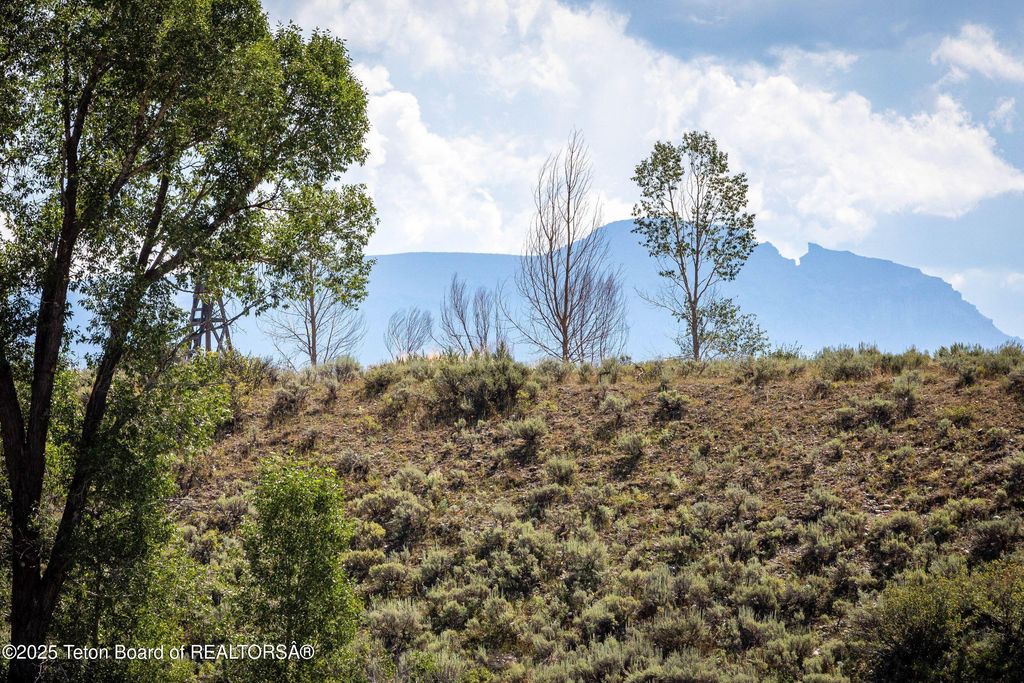 8850 DELAND Drive, Jackson, WY 83001 photo 15