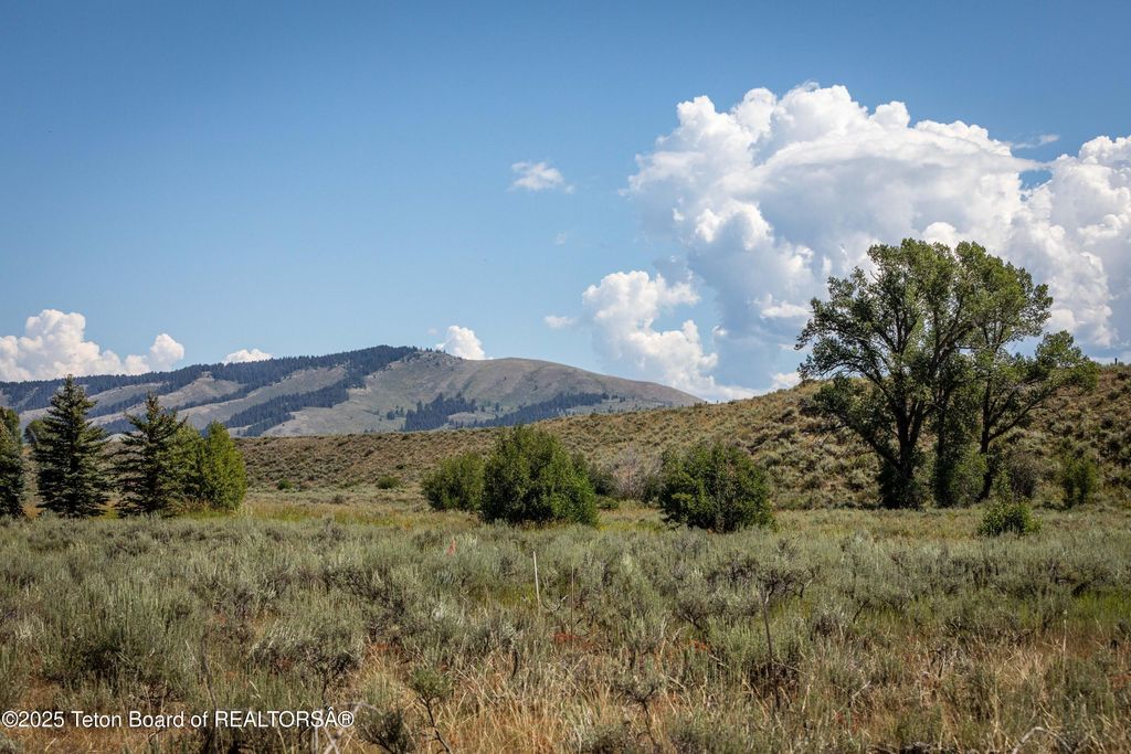 8850 DELAND Drive, Jackson, WY 83001 photo 18