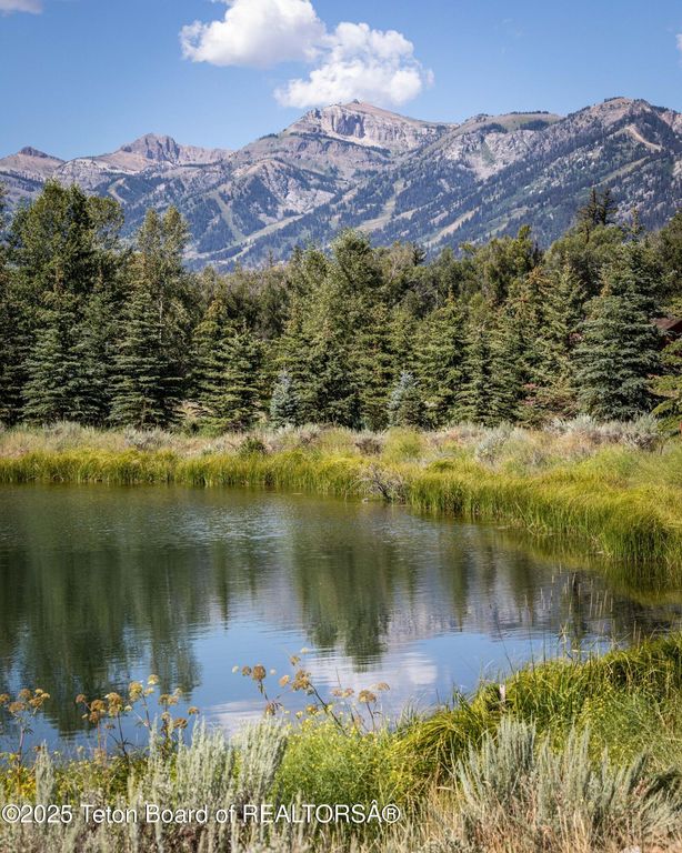 8850 DELAND Drive, Jackson, WY 83001 photo 5