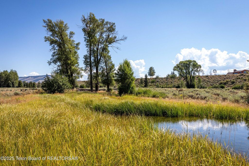 8850 DELAND Drive, Jackson, WY 83001 photo 8