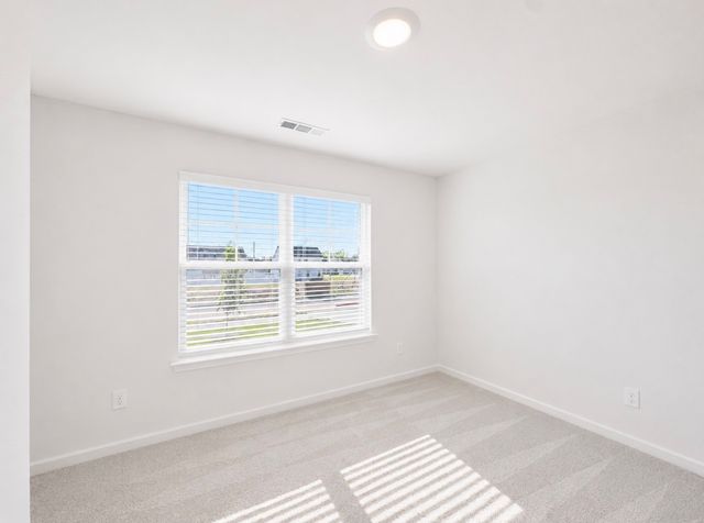 126 Millet St, Shelbyville, TN 37160