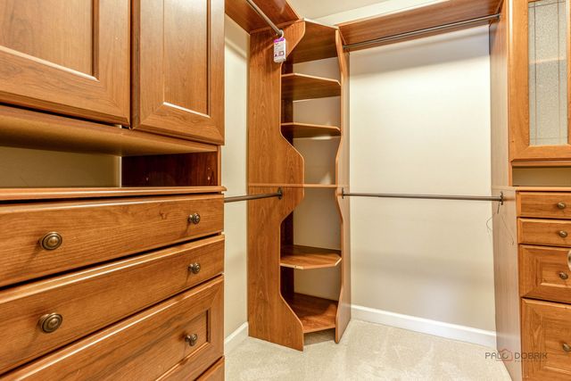 203 Blossom Court 203, Buffalo Grove, IL 60089