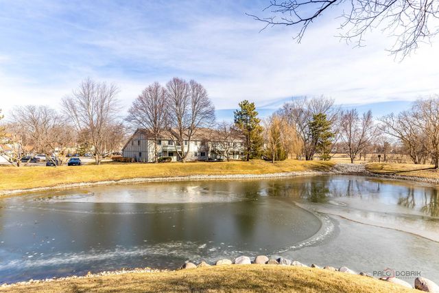 203 Blossom Court 203, Buffalo Grove, IL 60089