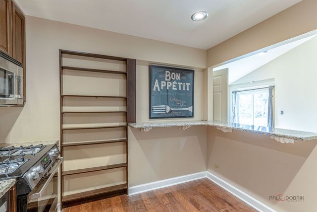 203 Blossom Court 203, Buffalo Grove, IL 60089