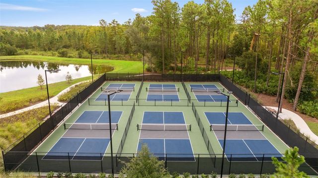 21846 LYONIA LANE, Land O Lakes, FL 34637