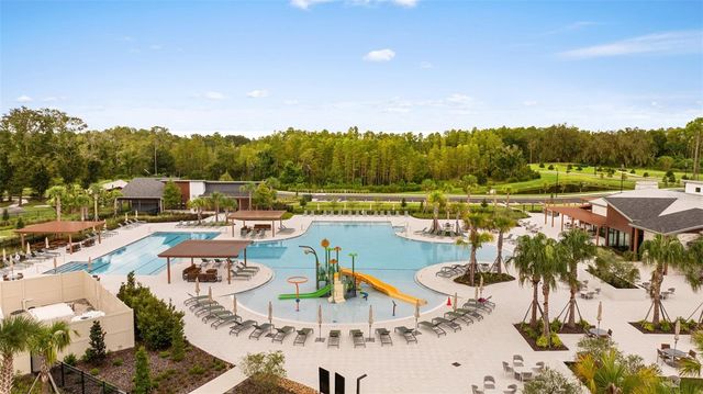 21846 LYONIA LANE, Land O Lakes, FL 34637