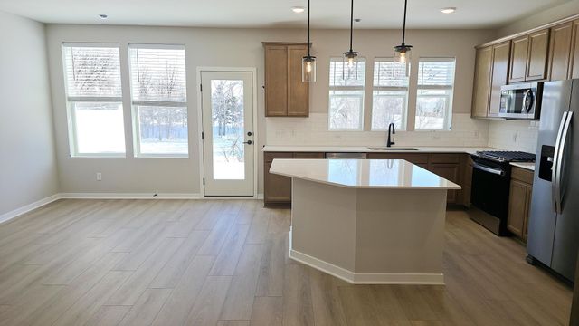 19196 Goldenrod Trail, Corcoran, MN 55374