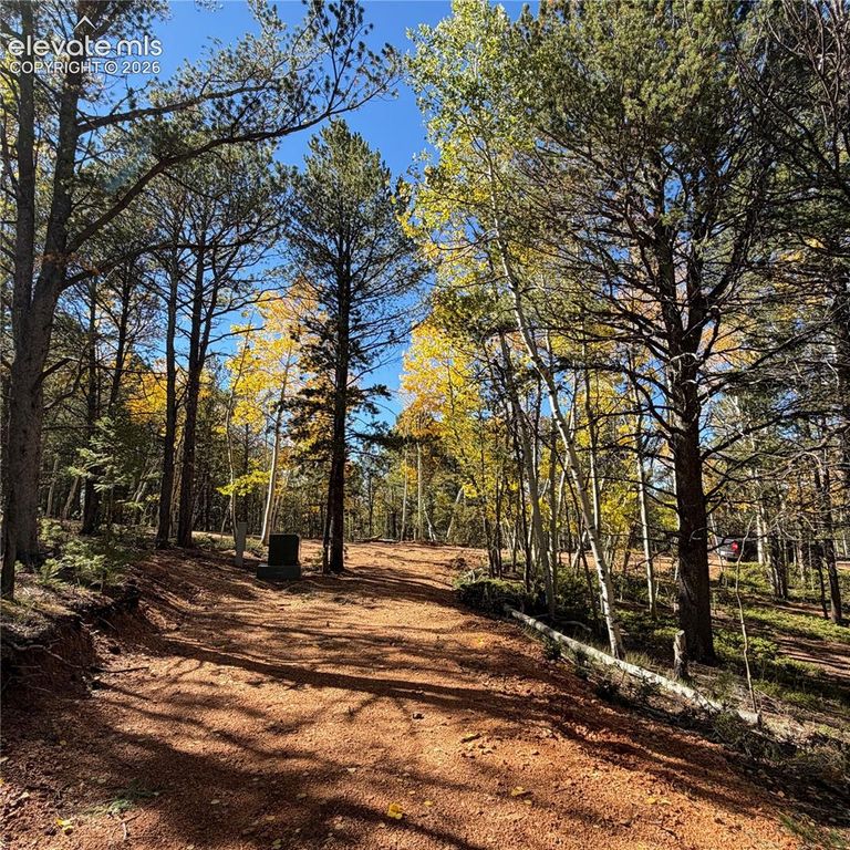 800 Timber Ridge Road, Divide, CO 80814 — exterior