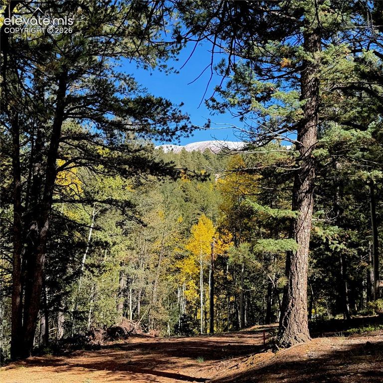 800 Timber Ridge Road, Divide, CO 80814 — photo 2