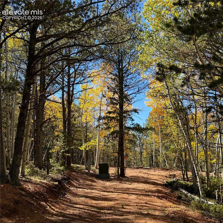 800 Timber Ridge Road, Divide, CO 80814 — photo 4