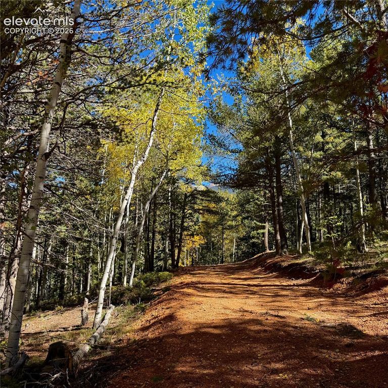 800 Timber Ridge Road, Divide, CO 80814 — photo 5