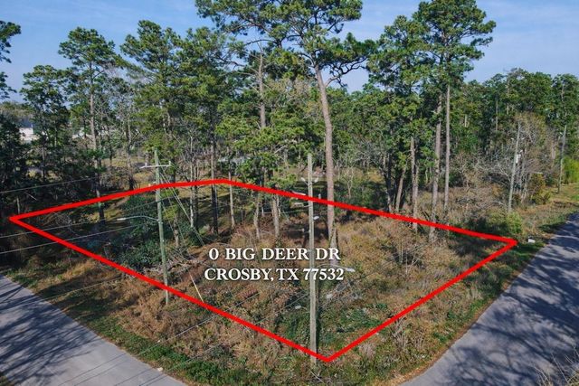 0 0 Big Deer Drive, Crosby, TX 77532