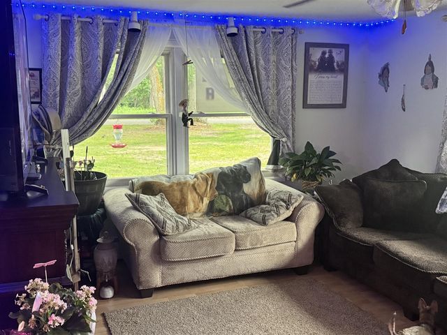 19030 W Almy Road, Howard City, MI 49329