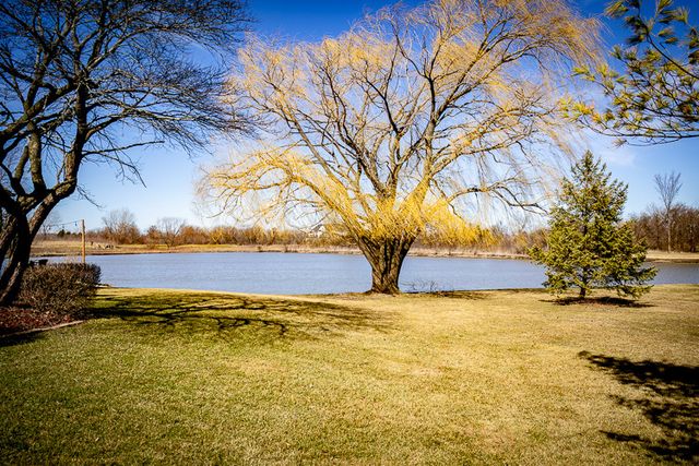 65 Aegina Court, Tinley Park, IL 60477