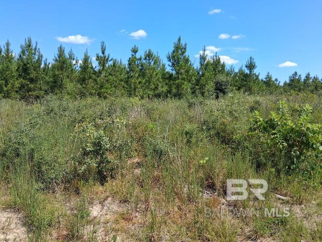 00000 Linholm Road, Robertsdale, AL 36567
