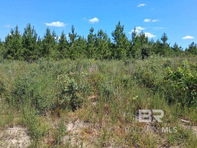 00000 Linholm Road, Robertsdale, AL 36567