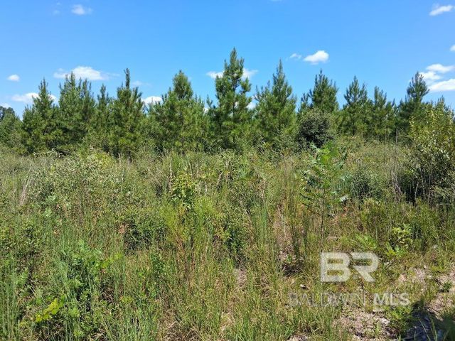 00000 Linholm Road, Robertsdale, AL 36567