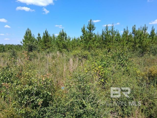 00000 Linholm Road, Robertsdale, AL 36567
