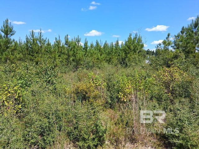 00000 Linholm Road, Robertsdale, AL 36567