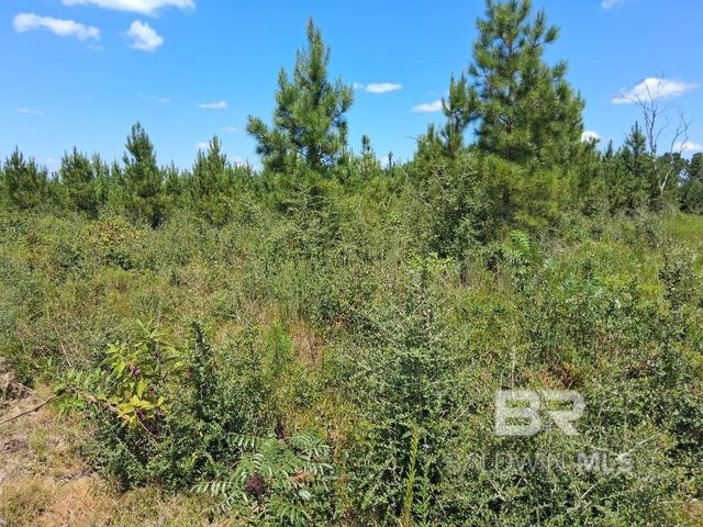 00000 Linholm Road, Robertsdale, AL 36567