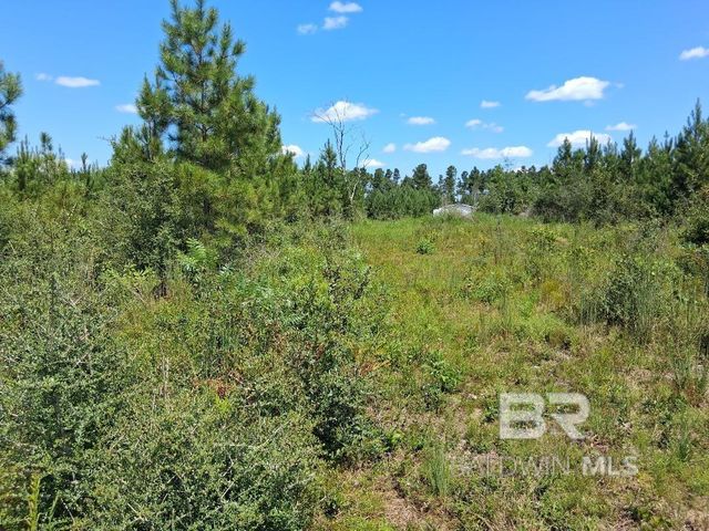 00000 Linholm Road, Robertsdale, AL 36567