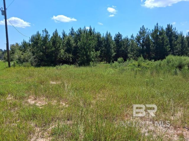 00000 Linholm Road, Robertsdale, AL 36567