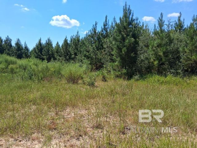 00000 Linholm Road, Robertsdale, AL 36567