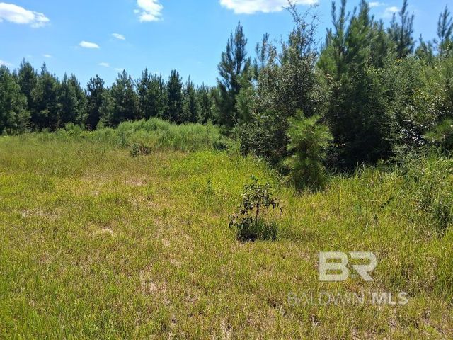 00000 Linholm Road, Robertsdale, AL 36567