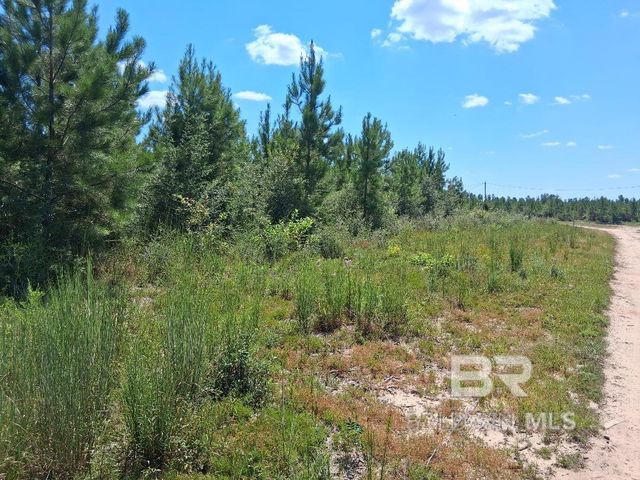 00000 Linholm Road, Robertsdale, AL 36567