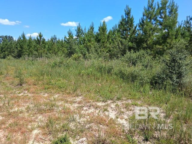 00000 Linholm Road, Robertsdale, AL 36567